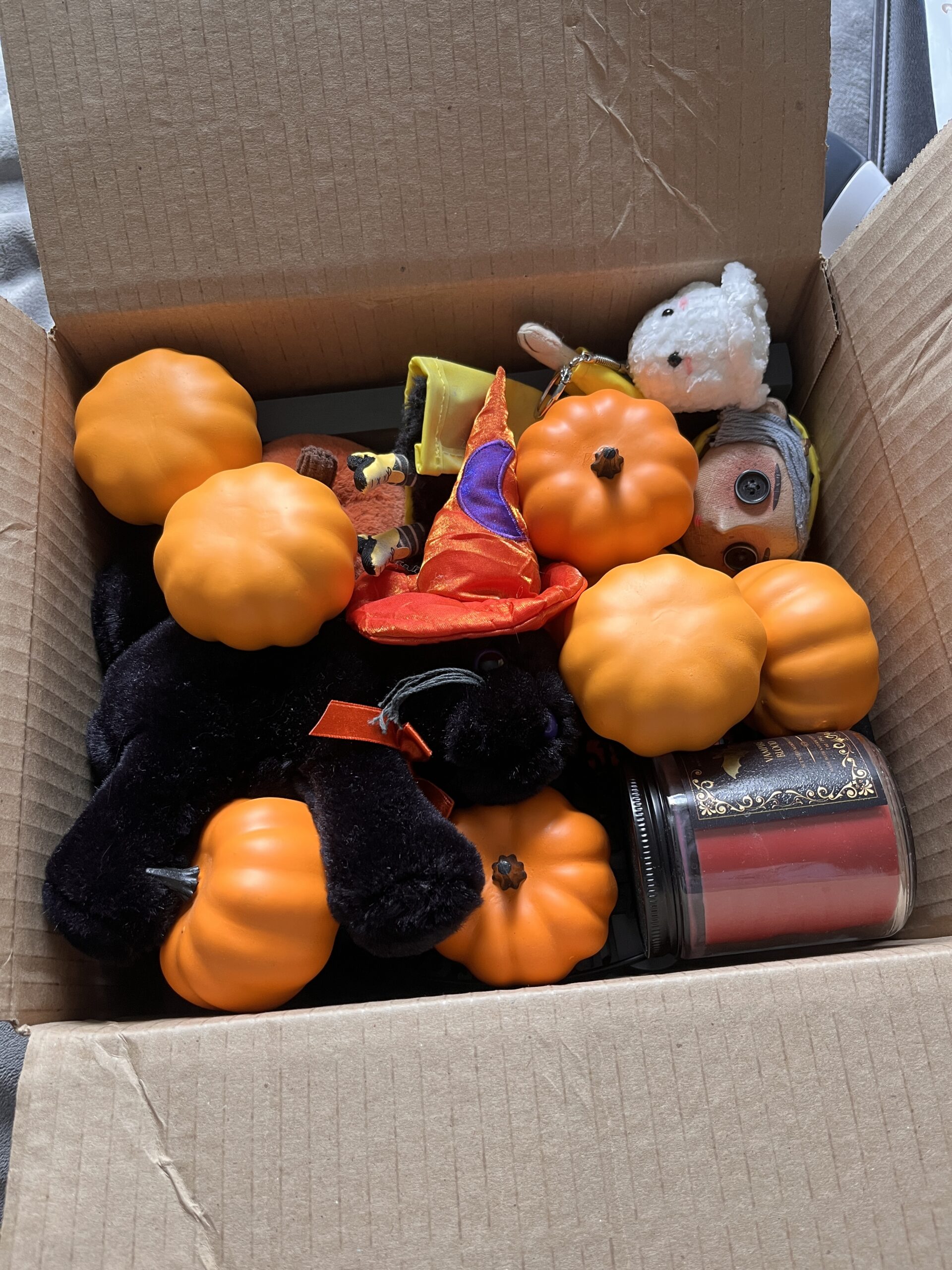 Spooky things to do for the month of October!