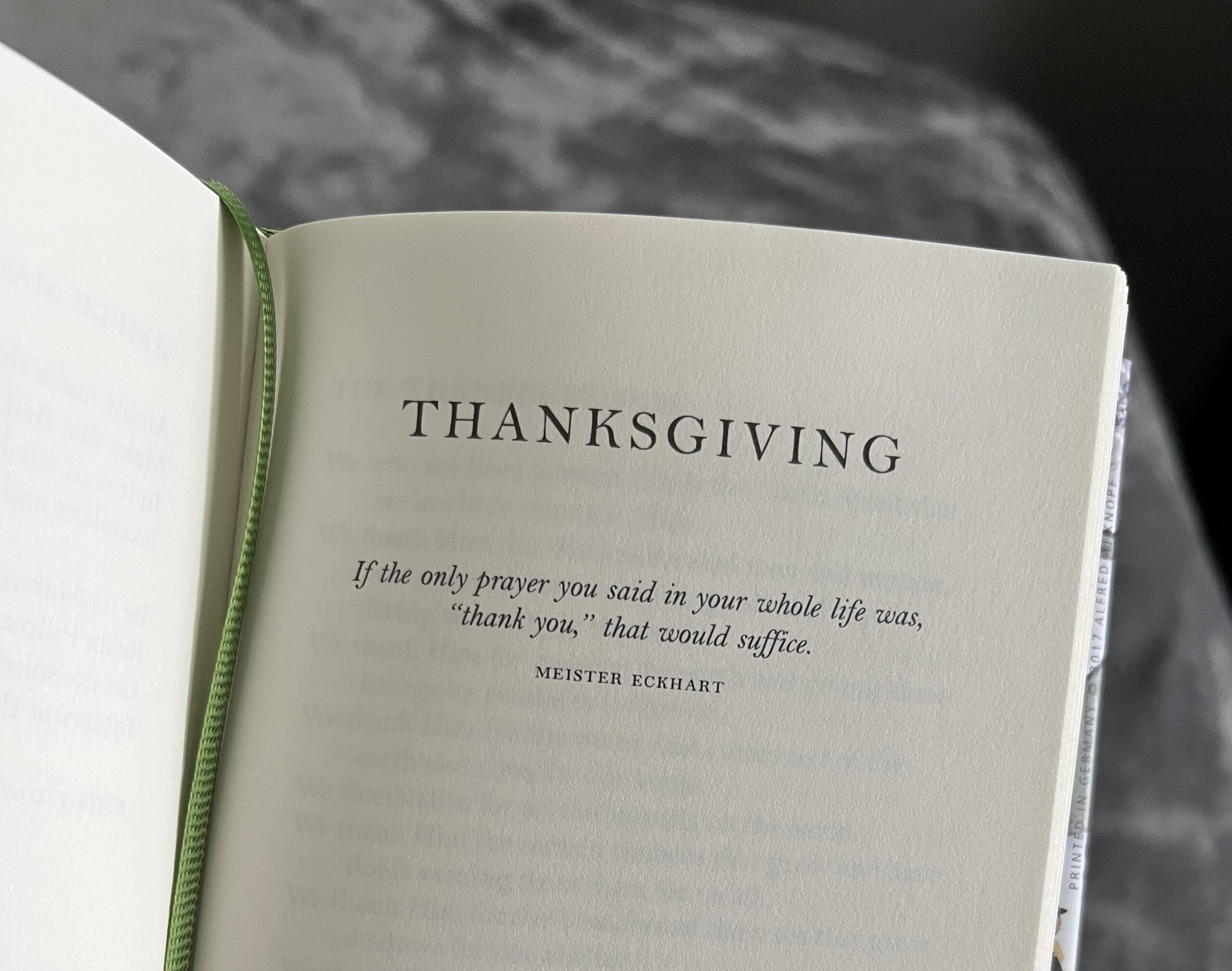 What does Thanksgiving mean to you?